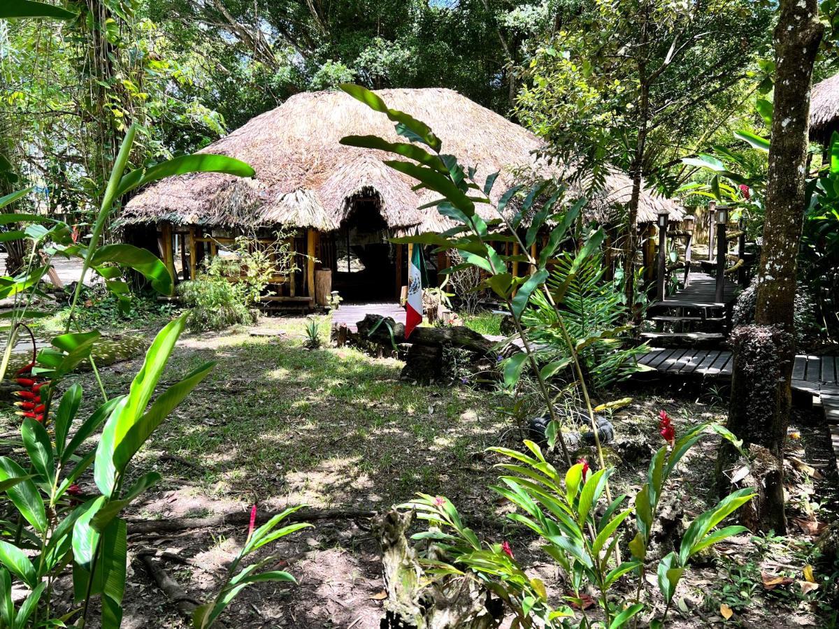 Cabanas Bambutan Palenque Ngoại thất bức ảnh