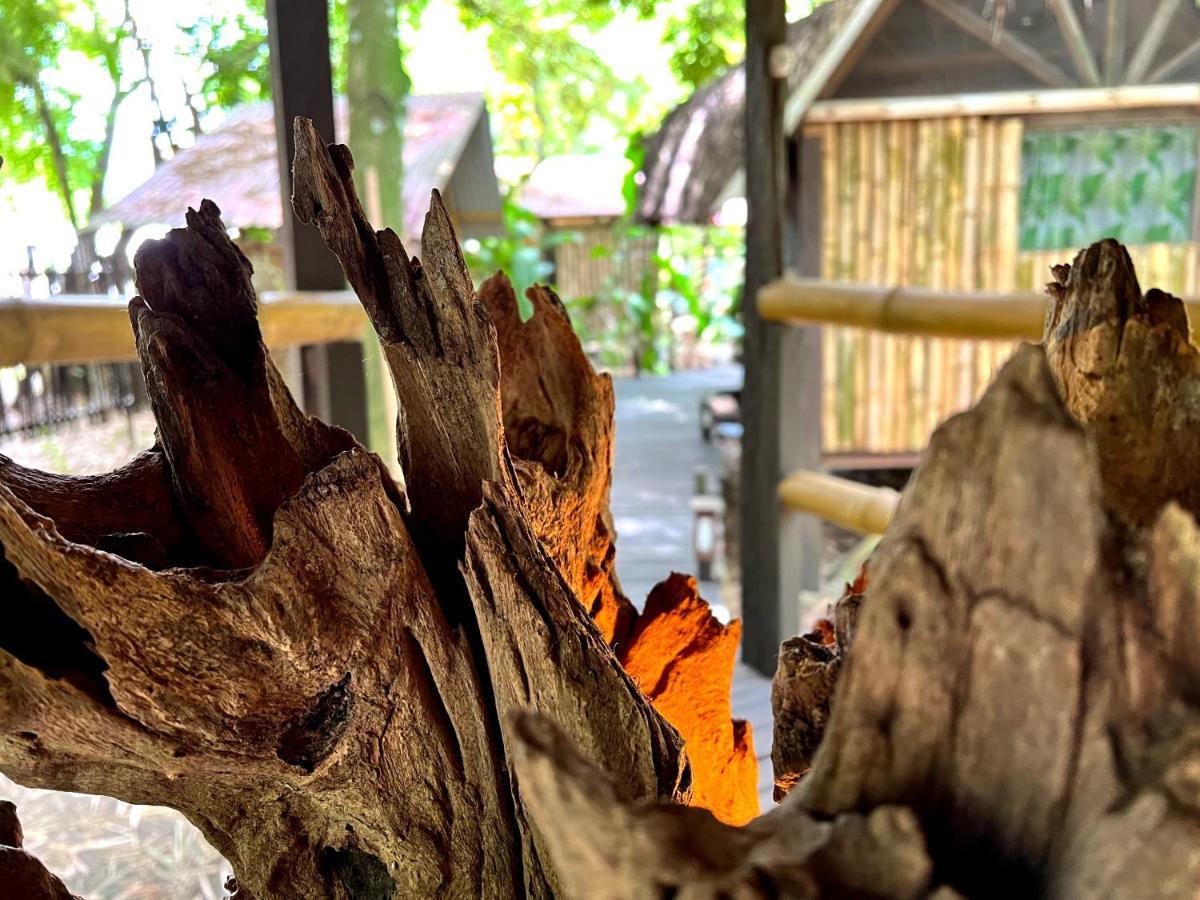 Cabanas Bambutan Palenque Ngoại thất bức ảnh