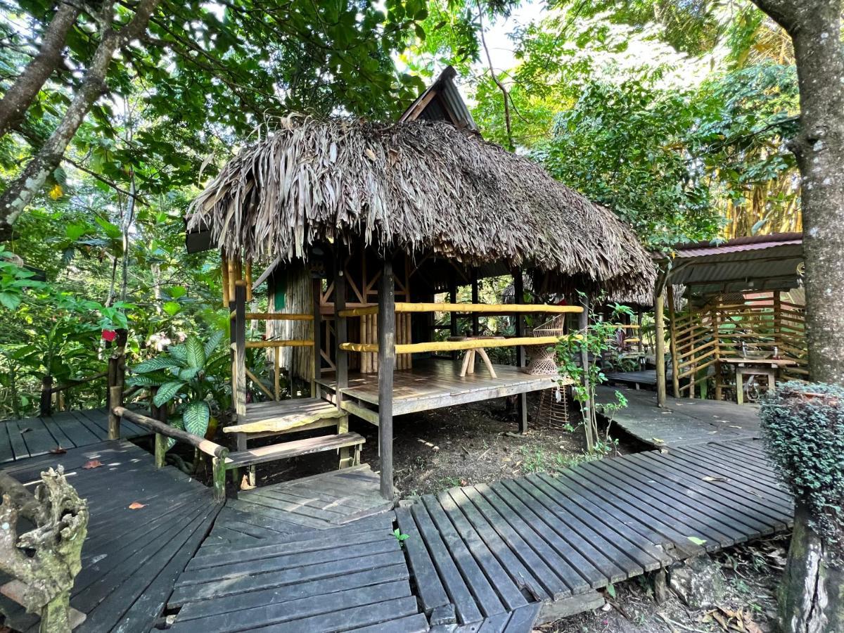 Cabanas Bambutan Palenque Ngoại thất bức ảnh