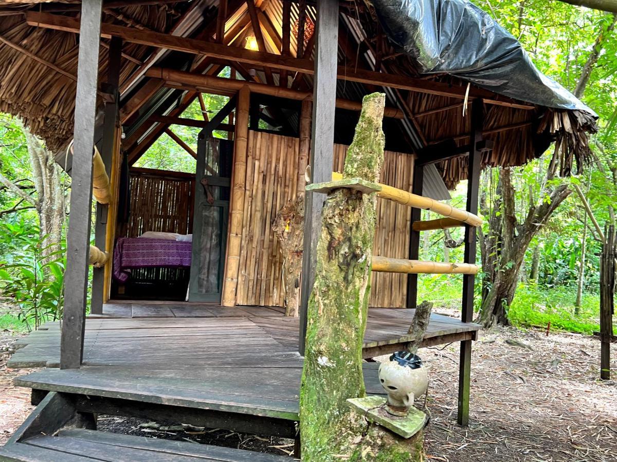 Cabanas Bambutan Palenque Ngoại thất bức ảnh