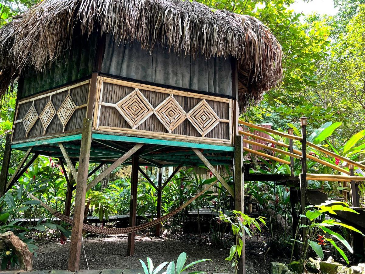 Cabanas Bambutan Palenque Ngoại thất bức ảnh