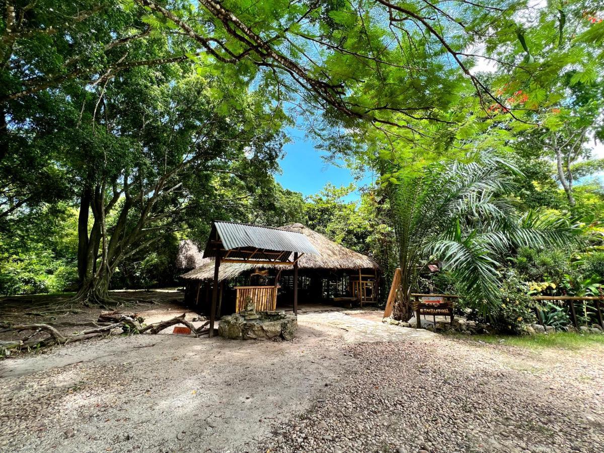 Cabanas Bambutan Palenque Ngoại thất bức ảnh