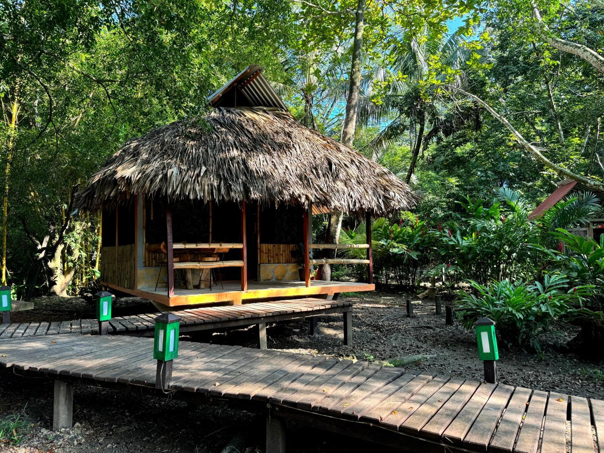 Cabanas Bambutan Palenque Phòng bức ảnh