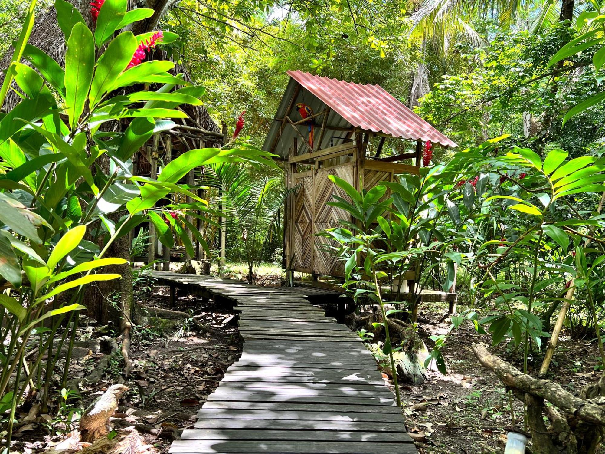 Cabanas Bambutan Palenque Phòng bức ảnh
